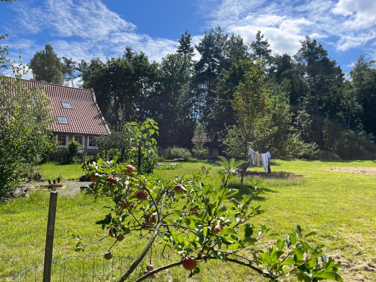Gruen In Gruen Apartman Detmold Kültér fotó